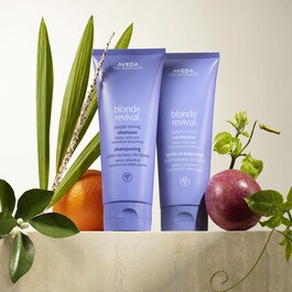 Blond Revival™ - Après-Shampooing Raviveur De Blond