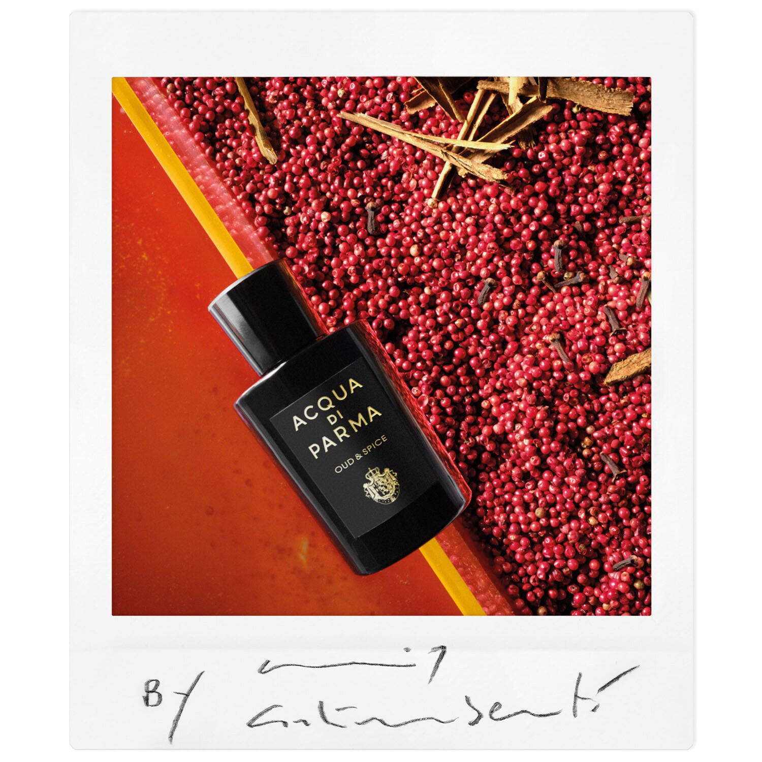 Acqua di parma oud sephora deals