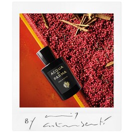 Signatures of the Sun Oud & Spice - Eau de Parfum Épicé Boisé