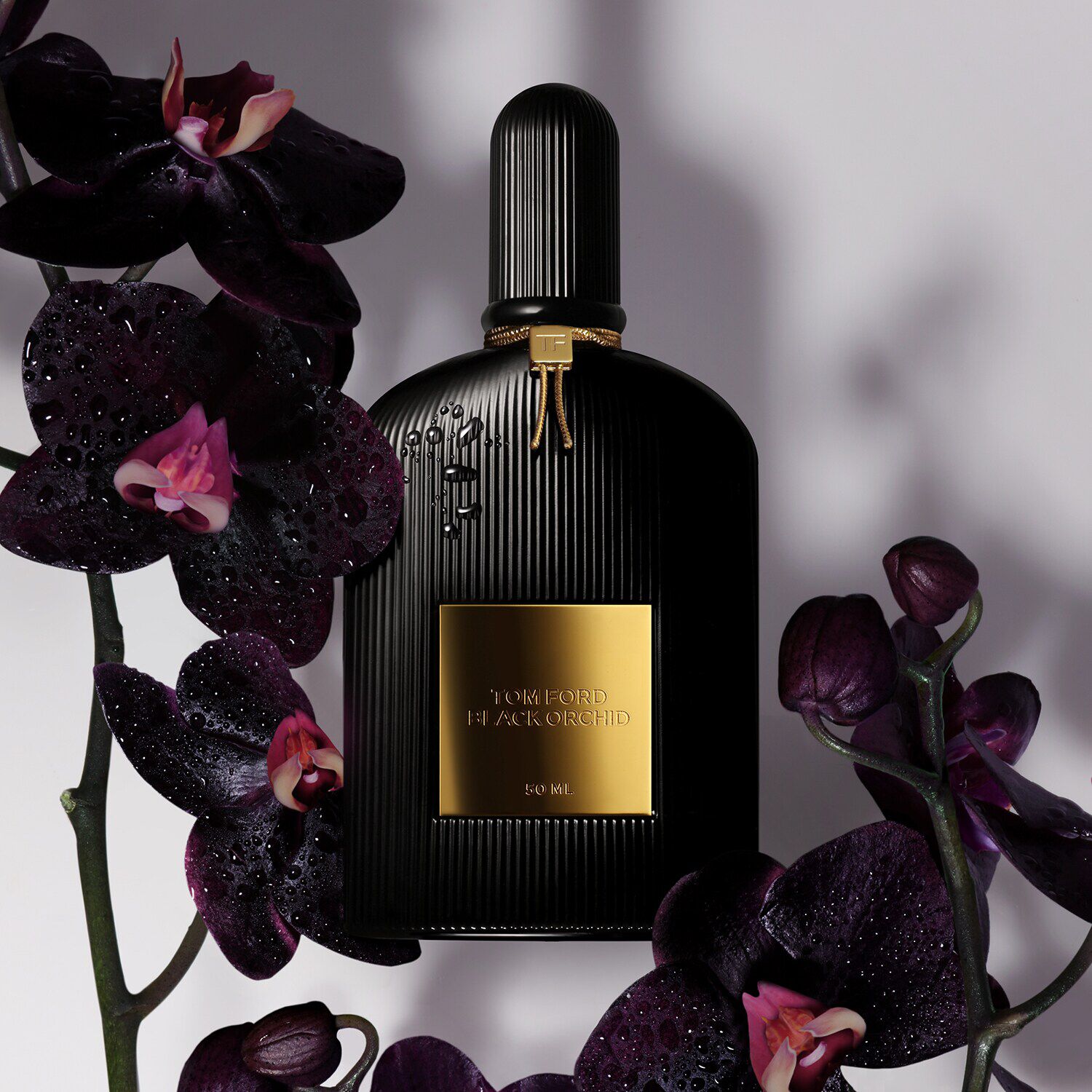Marc jacobs black hotsell orchid perfume