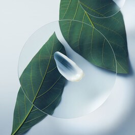 Botanical Repair™ Leave-in Treatment - Traitement réparateur