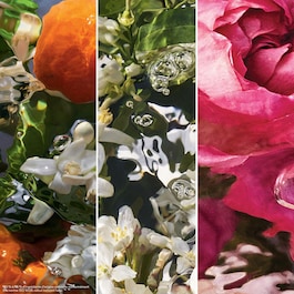 Aqua Allegoria - Rosa Rossa - Eau De Toilette