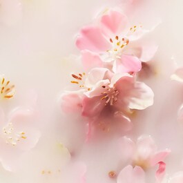 The Ritual of Sakura - Recharge bâtonnets parfumés