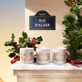 Baies des forêts - Bougie parfumée