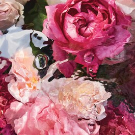 Aqua Allegoria - Rosa Rossa - Eau De Toilette