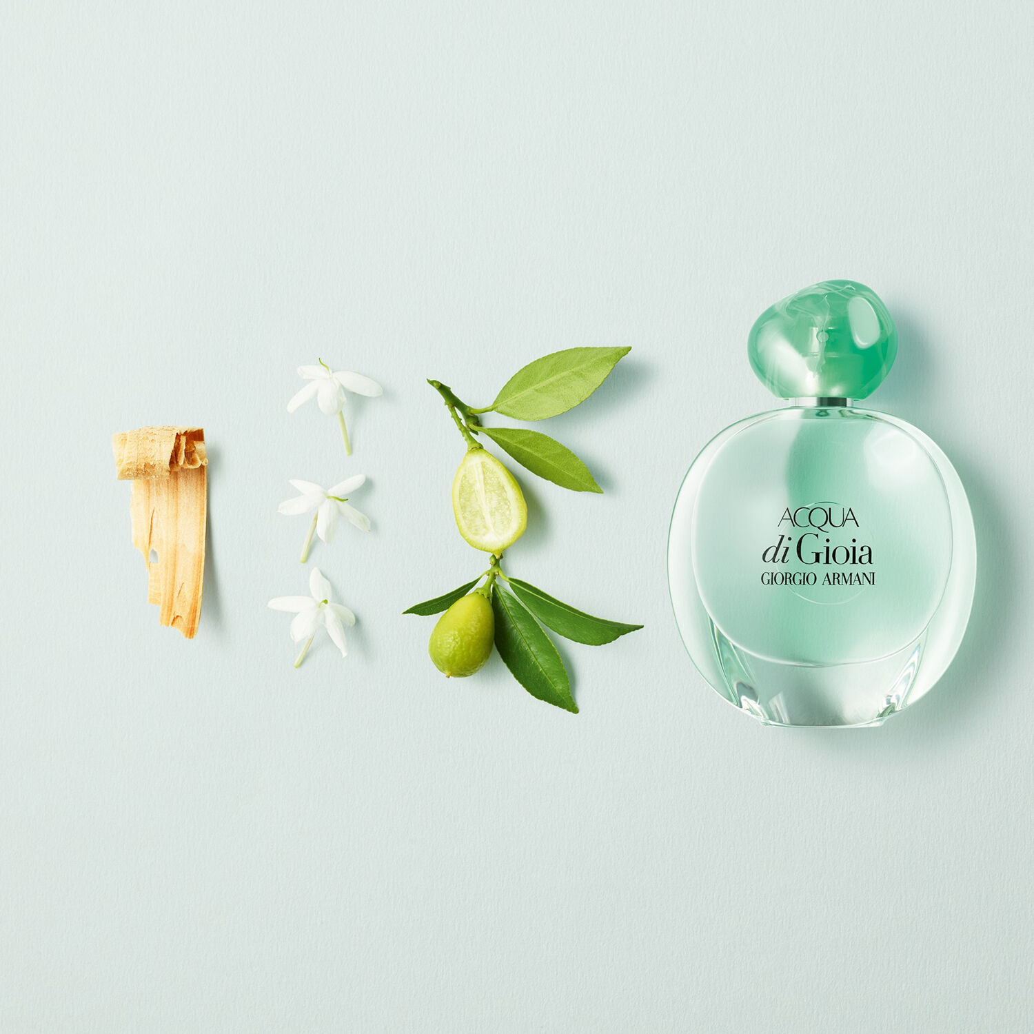 Giorgio armani scent of gioia outlet