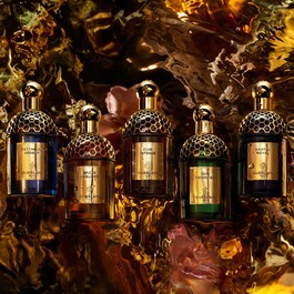 Absolus Allegoria - Epices Exquises - Eau de Parfum