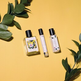 Blackberry Lily - Eau de Parfum Roll-on