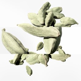 Un Jardin après la Mousson - Eau de Toilette