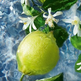 Aqua Allegoria Bergamote Calabria - Eau de Toilette