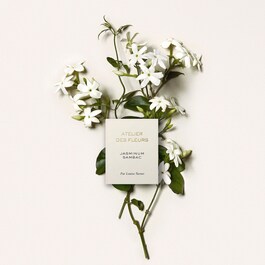 Atelier des Fleurs Jasminum Sambac - Eau de Parfum