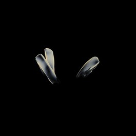 Essence Absolue - Baume universel 