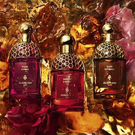 Absolus Allegoria - Cuir Intense - Eau de Parfum