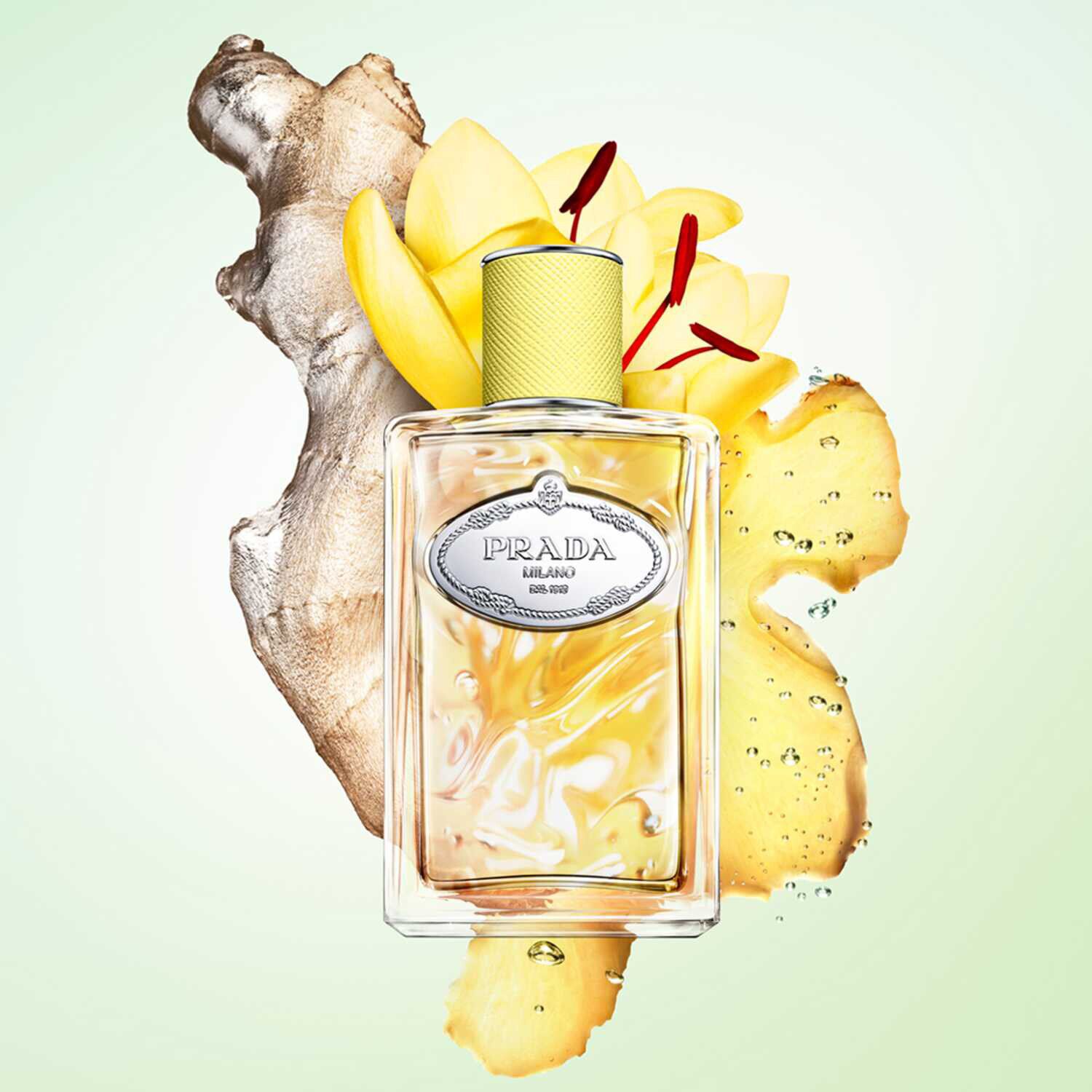 Infusion de Gingembre Eau de parfum Vive hesperidee Boisee pour homme et femme de PRADA SEPHORA