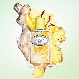 Infusion de Gingembre - Eau de parfum Vive héspéridée Boisée pour homme et femme