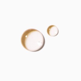 Nutritive - Sérum concentré Pointes Sèches