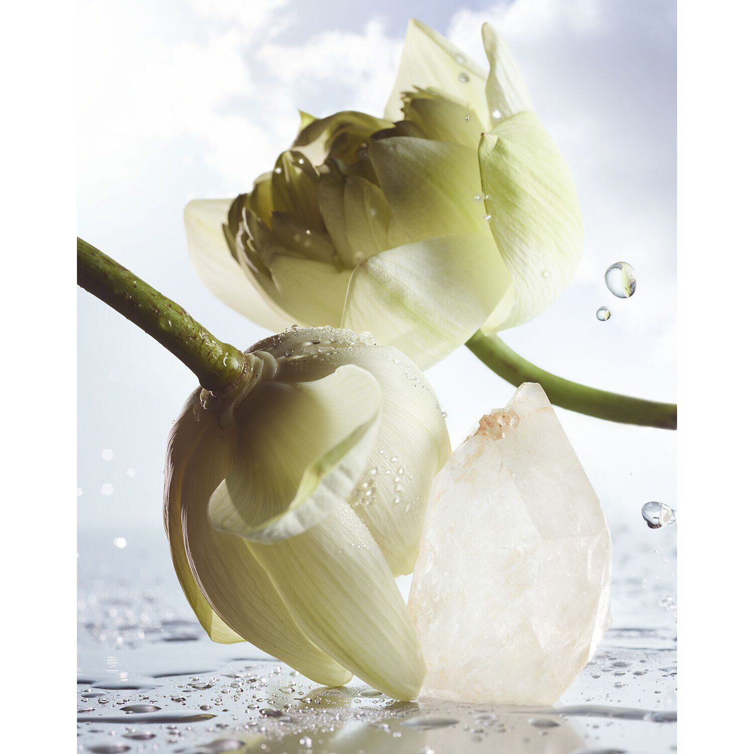 Bvlgari Man Rain Essence Eau de Parfum de BVLGARI SEPHORA