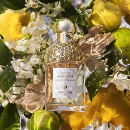 Aqua Allegoria - Bergamote Calabria - Eau De Toilette