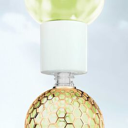 Aqua Allegoria Forte - Nerolia Vetiver - Eau De Parfum