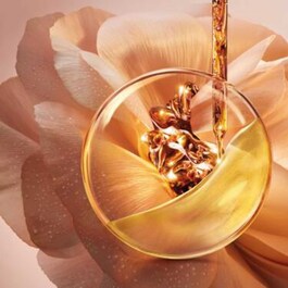 Absolue - Crème Fondante Régénérante Illuminatrice aux Grands Extraits de Rose