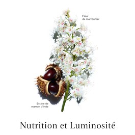 Nutri-Lumière Jour anti-âge - Emulsion revitalisante lumière