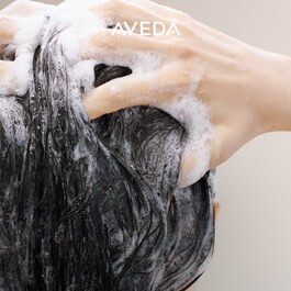 Scalp Solutions - Shampoing Purifiant Et Equilibrant