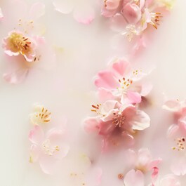 The Ritual of Sakura - Support pour parfum pour voiture + 2 recharges