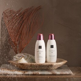 The Ritual of Sakura - Après-shampoing