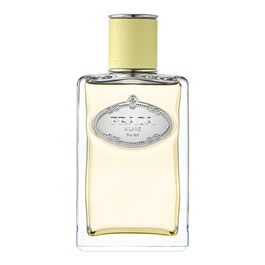 Infusion de Gingembre - Eau de parfum Vive héspéridée Boisée pour homme et femme