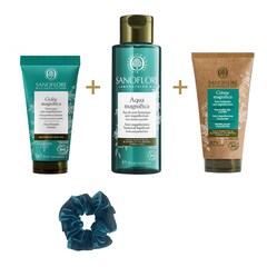 Magnifica - Coffret Noël Routine Anti-Imperfections certifiée bio, SANOFLORE