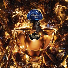 Shalimar Millésime Tonka - Eau de Parfum