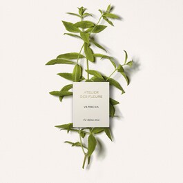Atelier des Fleurs Verbena - Eau de Parfum
