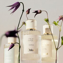 Atelier des Fleurs Herba Mimosa - Eau de Parfum