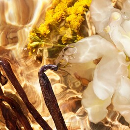 Aqua Allegoria Forte - Bosca Vanilla  Eau de Parfum