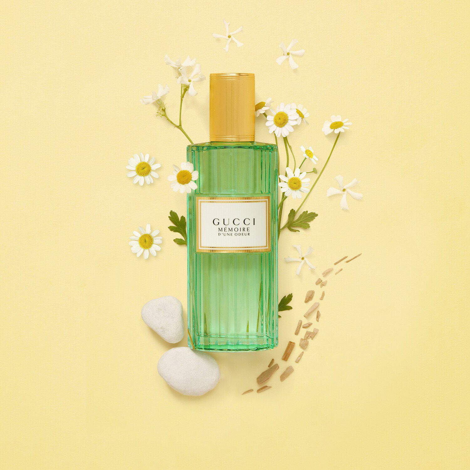 Gucci Memoire d une Odeur Eau de Parfum Mixte Minerale Aromatique de GUCCI SEPHORA