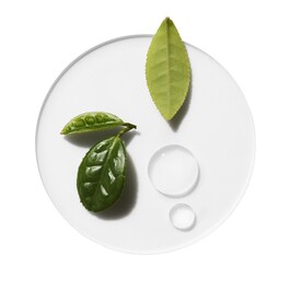 Moisture Surge - Hydratant Concentré Super-Activé