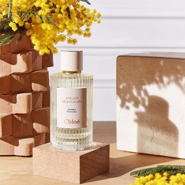 Atelier des Fleurs Herba Mimosa - Eau de Parfum