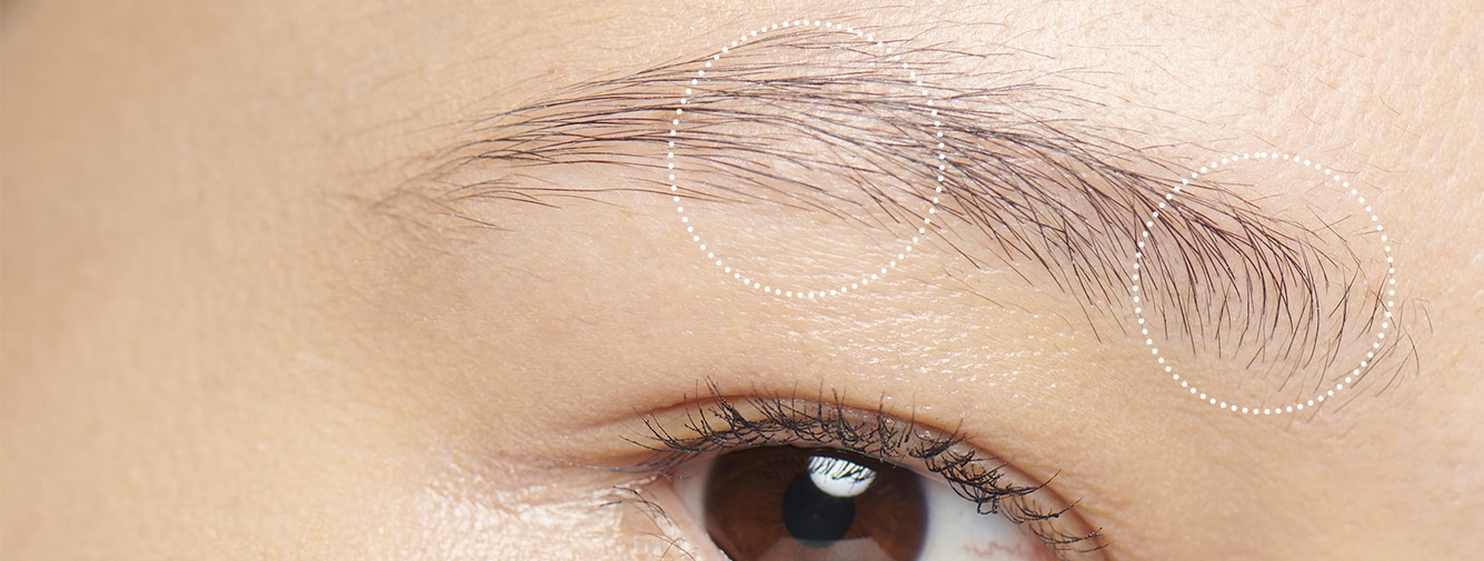 Fini le casse-tête des sourcils clairsemés