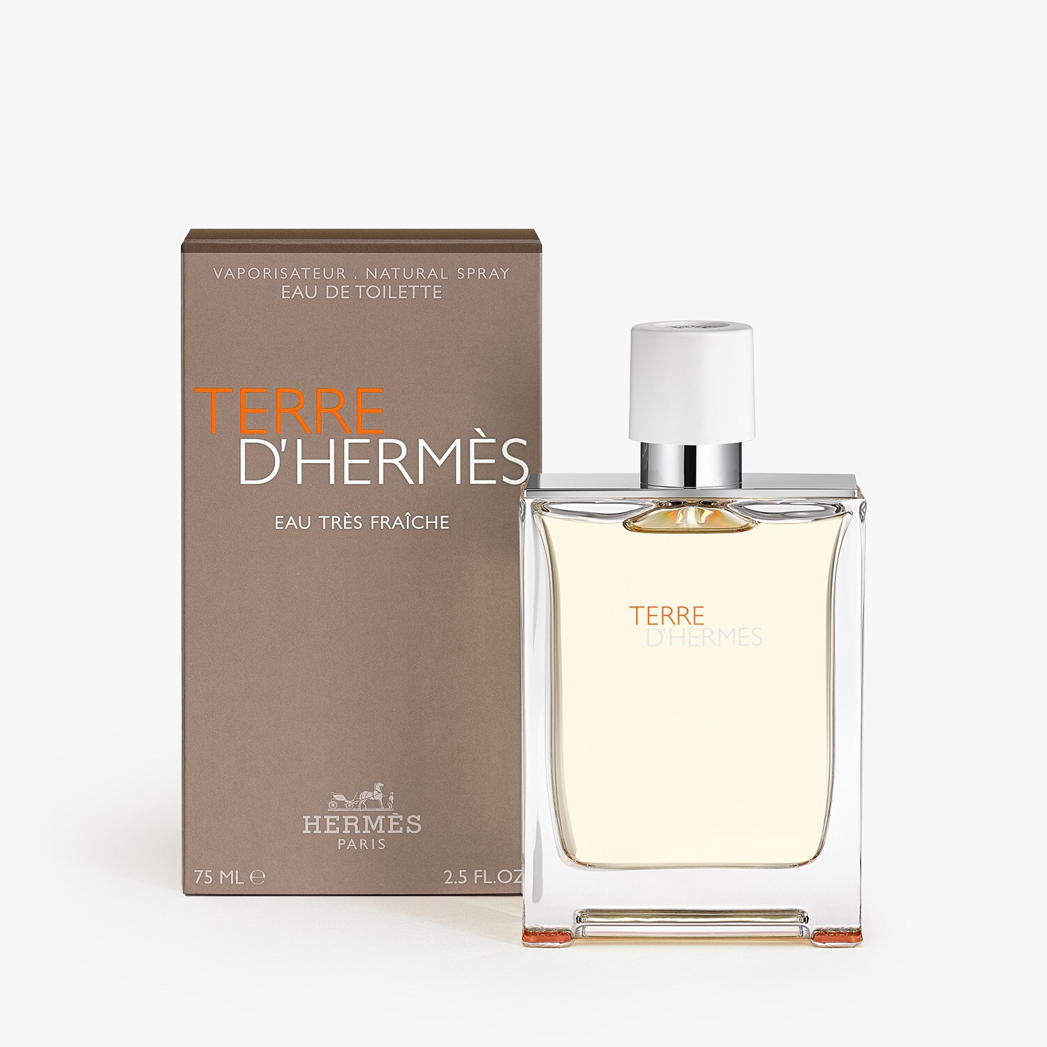 Terre d
