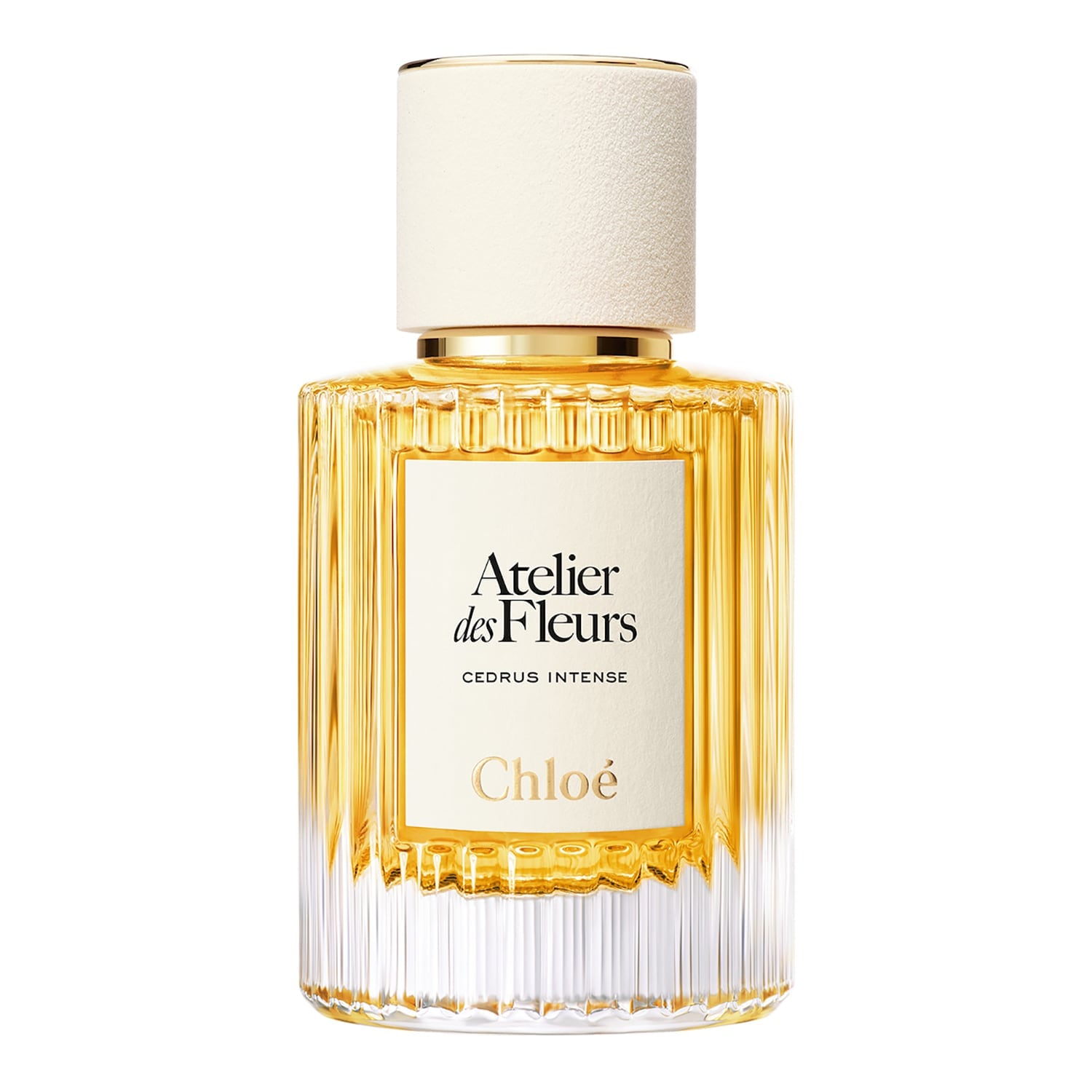 CHLOÉ Atelier des Fleurs Cedrus Intense - Eau de Parfum