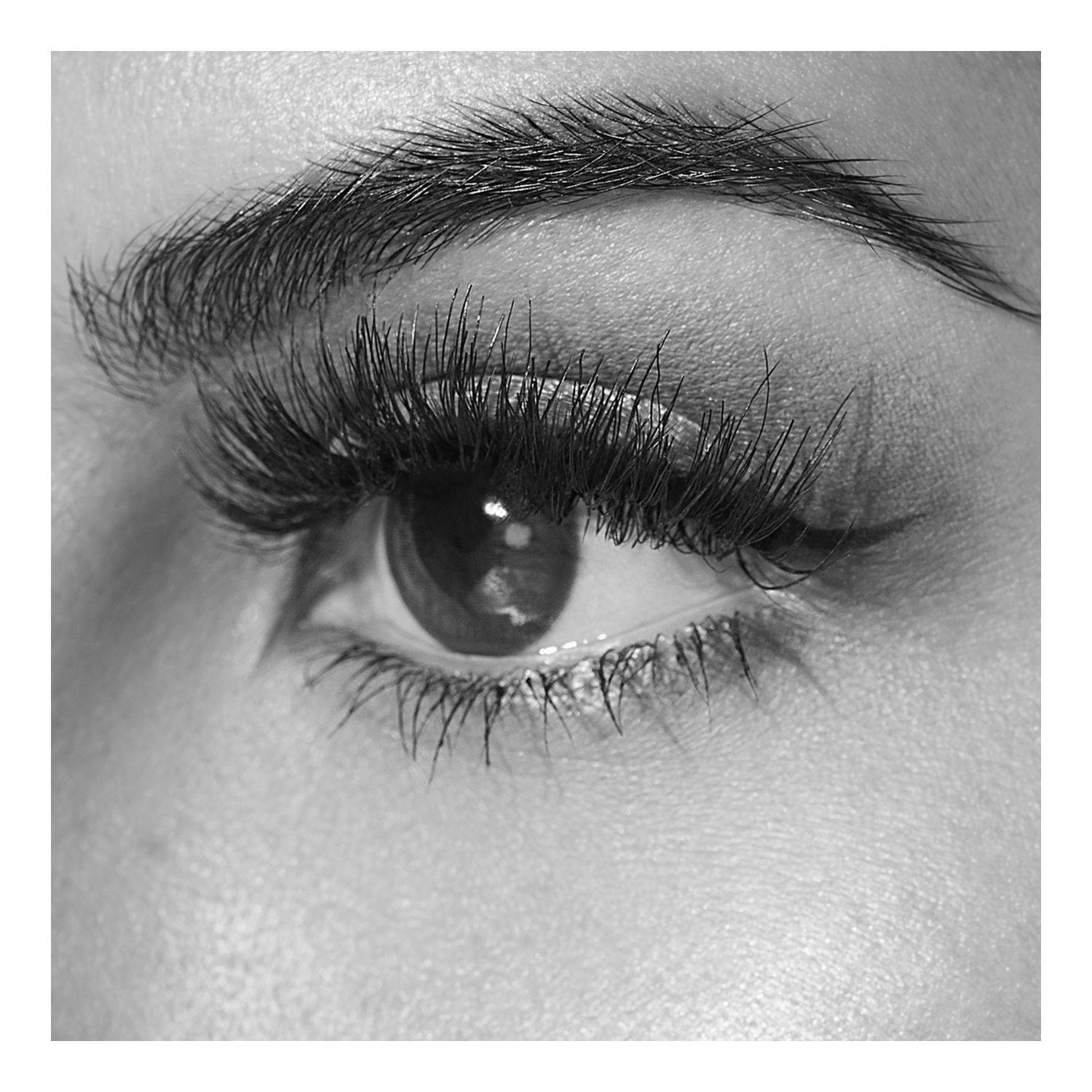 Faux Cils Jacqueline 20 Collection Classic