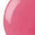 Dutch Tulips (15 ml)
