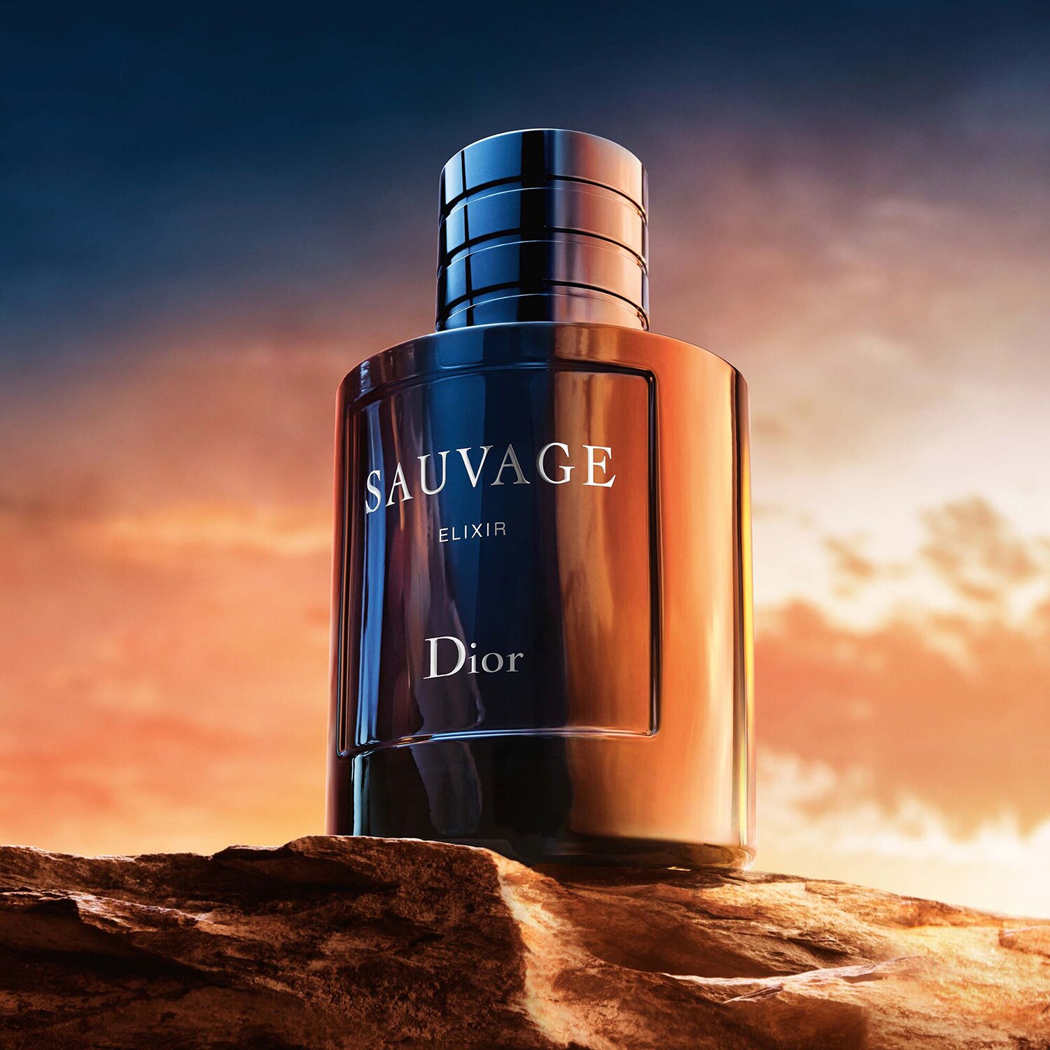 Sauvage Elixir Parfum pour homme Notes agrumes, épices & bois de