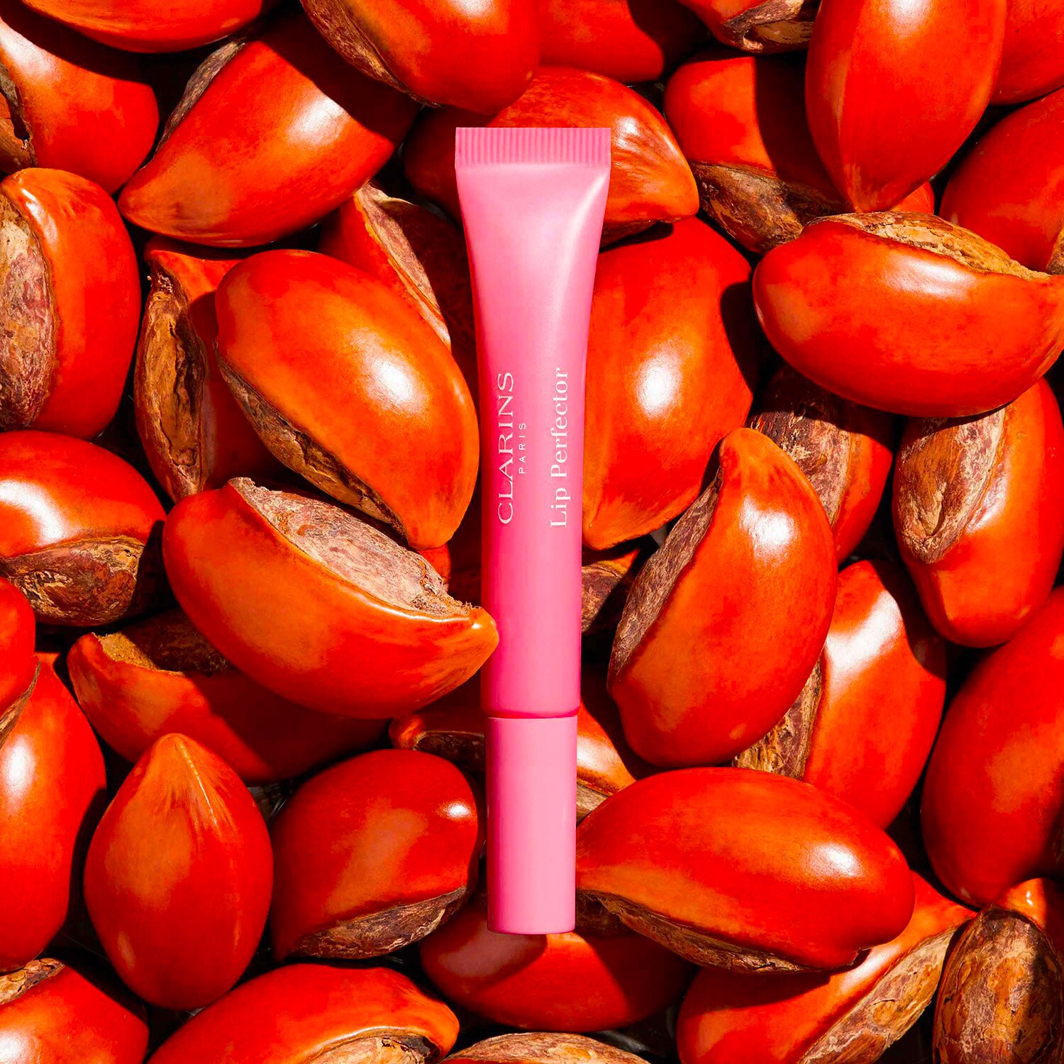 Brillant à Lèvres T Leclerc 02 Caramel - 4,2 Ml, Hypoallergénique, Made In France
