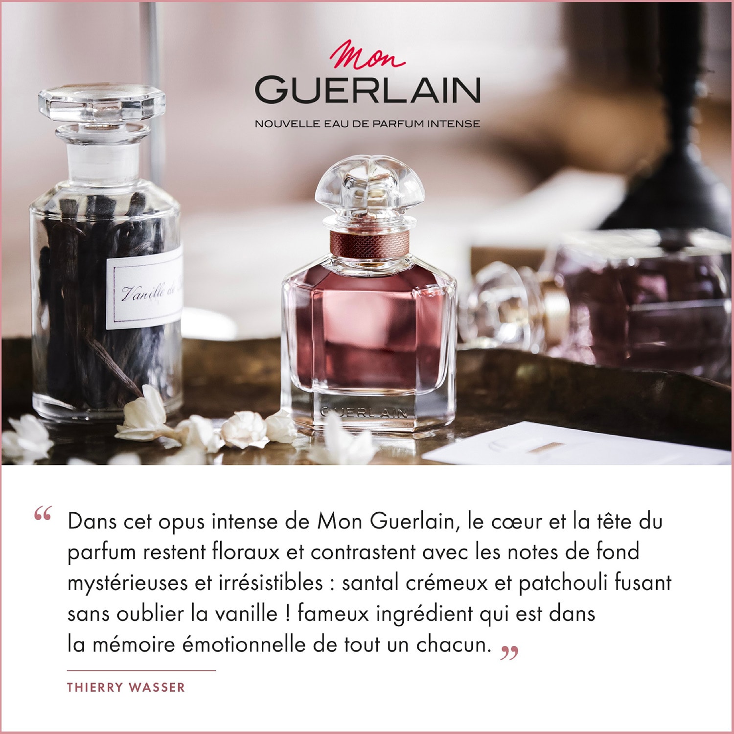Mon Guerlain - Eau De Parfum Intense de GUERLAIN ≡ SEPHORA