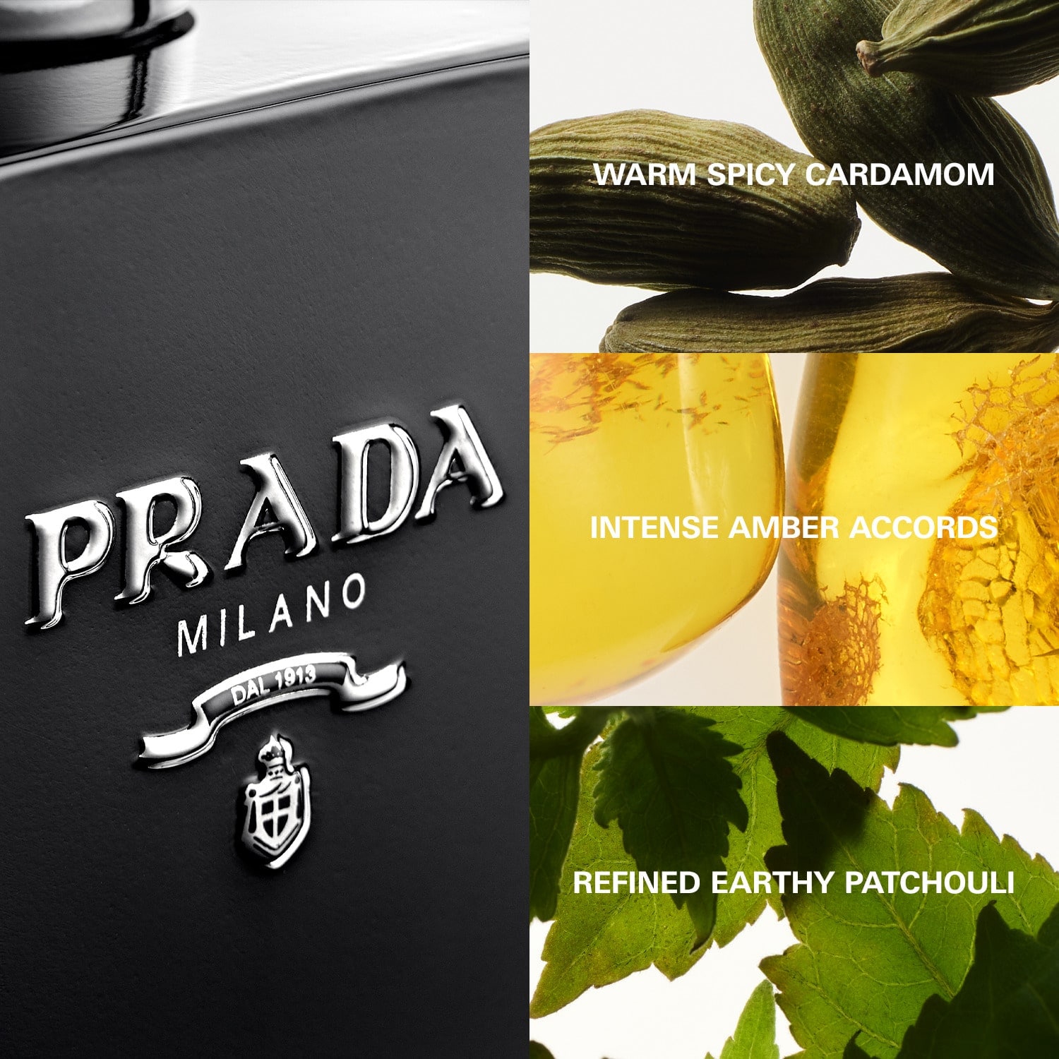 L'Homme Prada Intense Eau de Parfum de PRADA ≡ SEPHORA