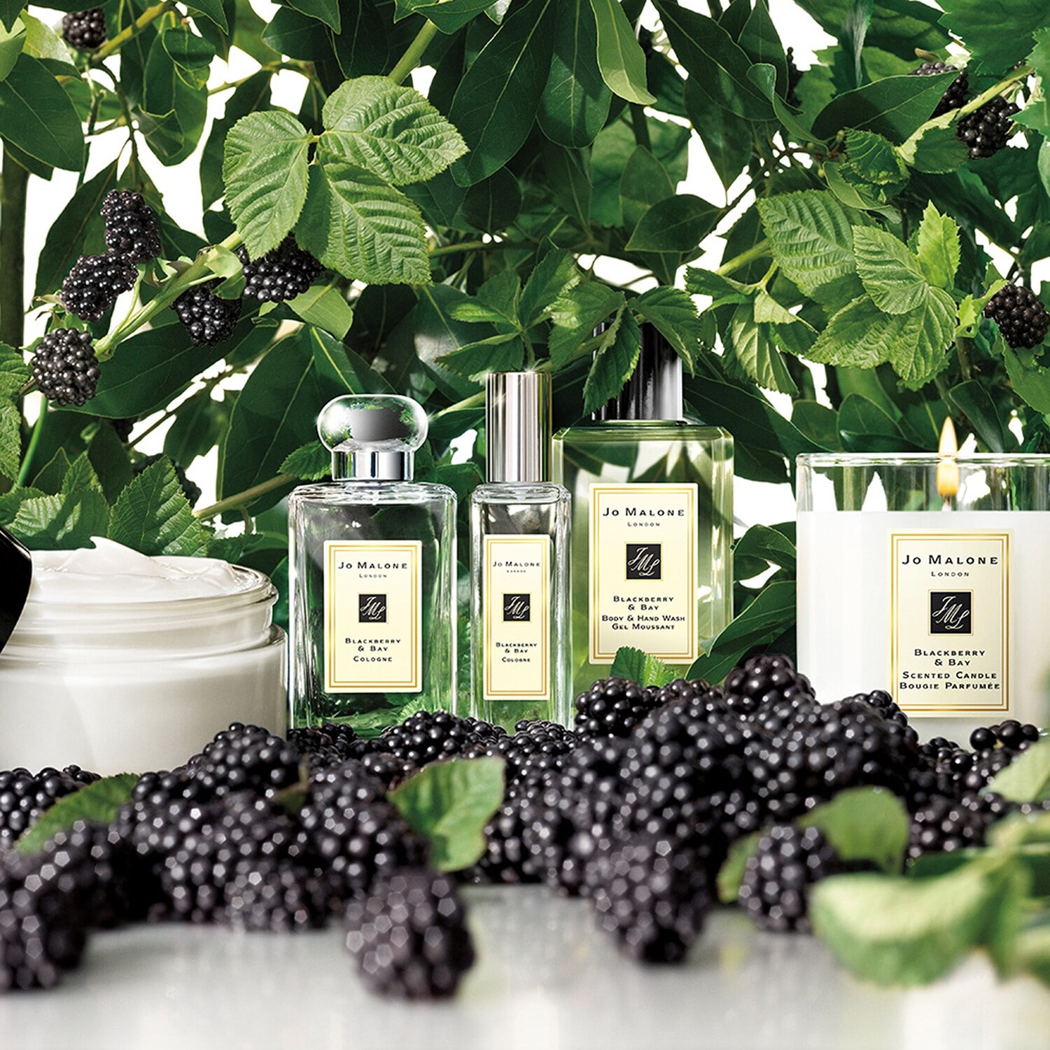 Blackberry & Bay - Cologne de JO MALONE LONDON ≡ SEPHORA