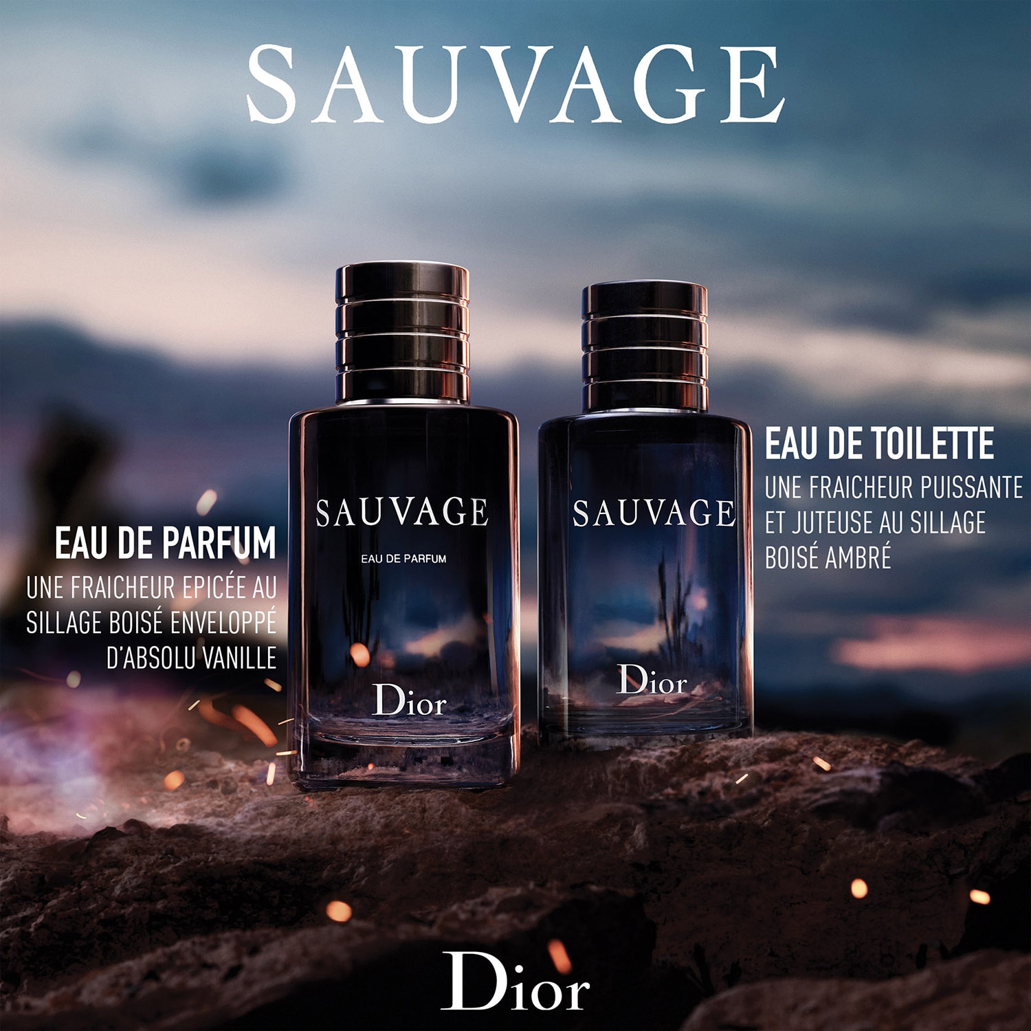Sauvage Coffret Eau de Toilette de DIOR ≡ SEPHORA