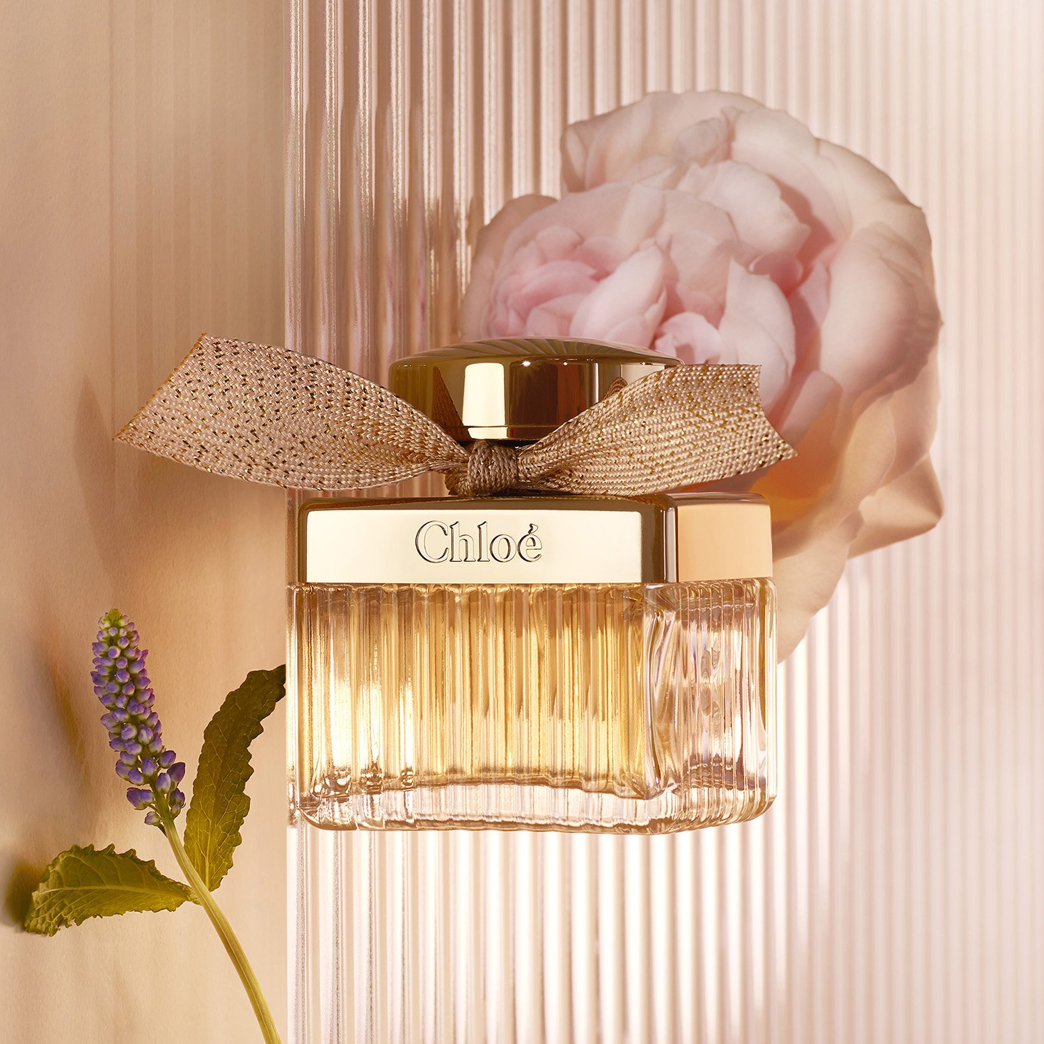 Chloé Absolu de Parfum Eau de Parfum de CHLOE ≡ SEPHORA