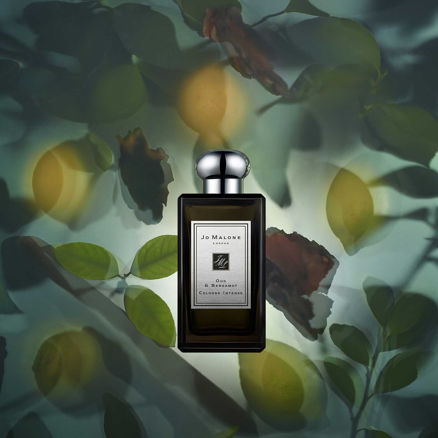Oud & Bergamot Cologne Intense de JO MALONE LONDON ≡ SEPHORA